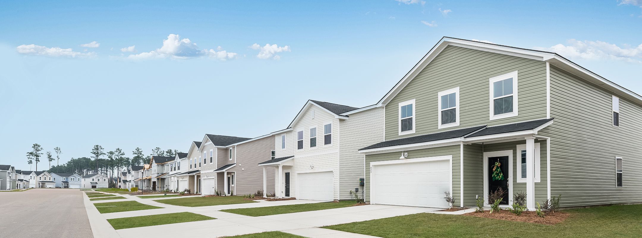 Lindera Preserve Streetscape 1of2