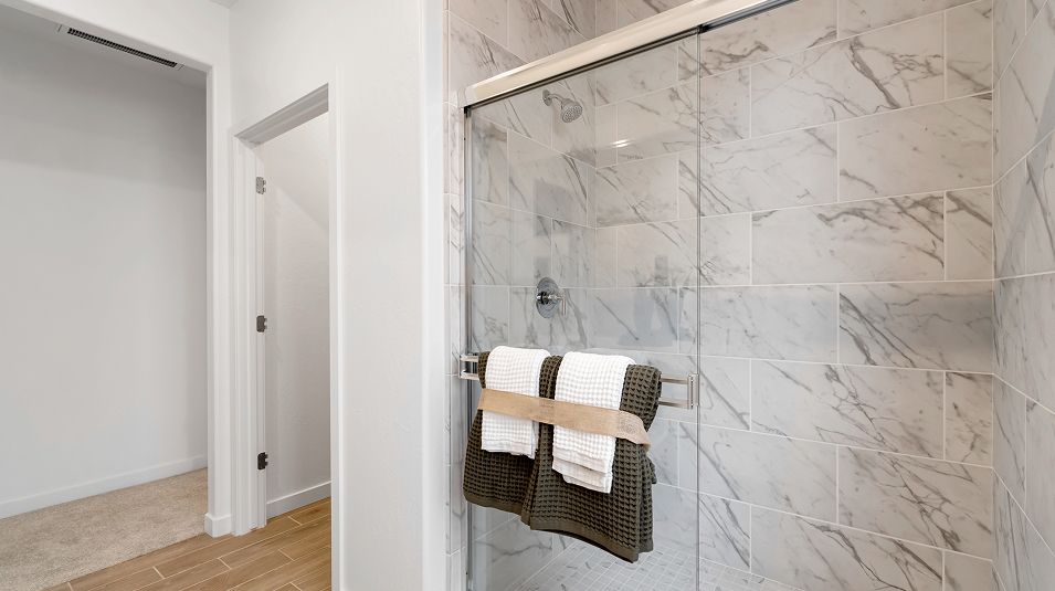 Calligraphy Gossamer Grove Papyrus Owners Bath 2of3 F1