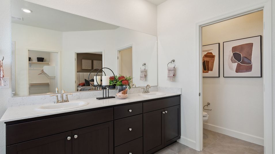 Owner's Bath Dual Sinks