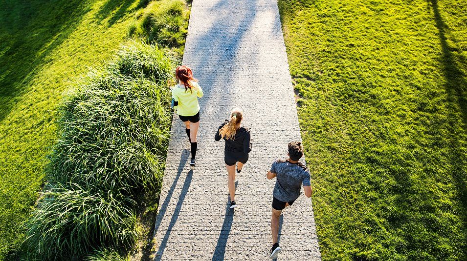 Parkland Trace Trail Amenity