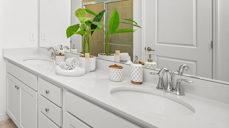 Ibis Landing EI Owners Bath Quartz Countertops