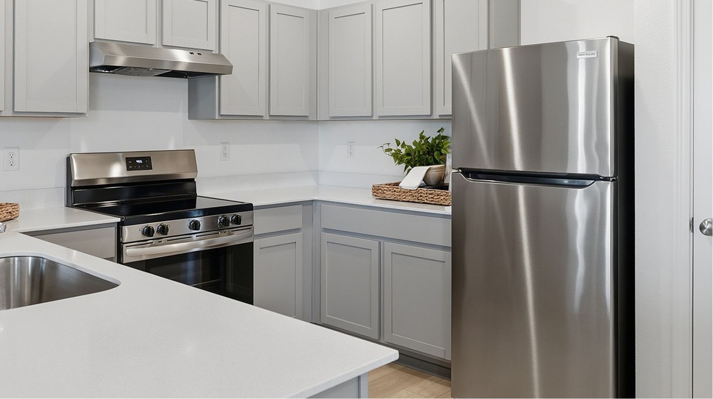 1667 Ontario Kitchen 2of2 F1