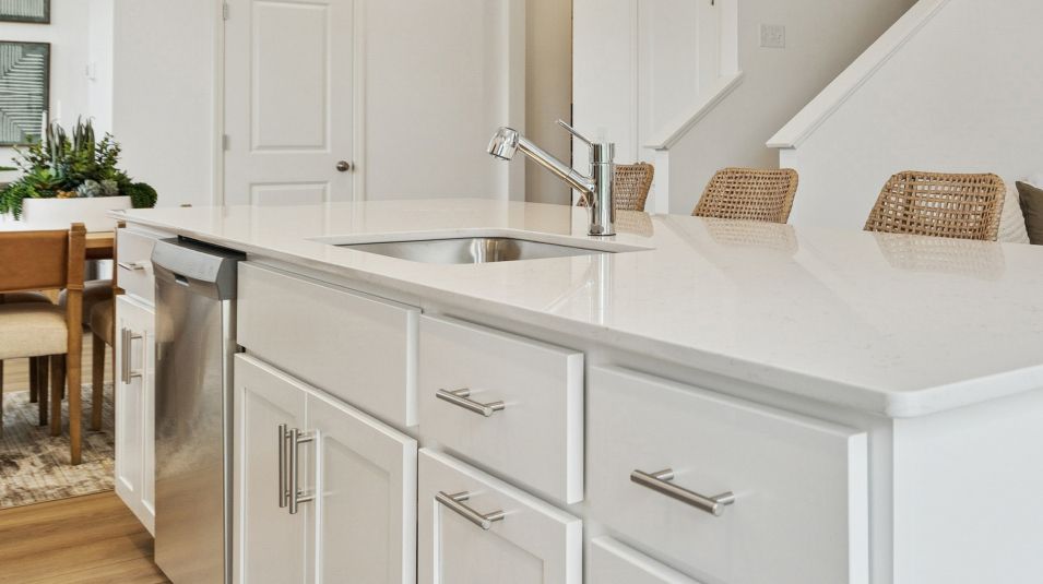 Shadow Creek Estates EI Kitchen Sink F1