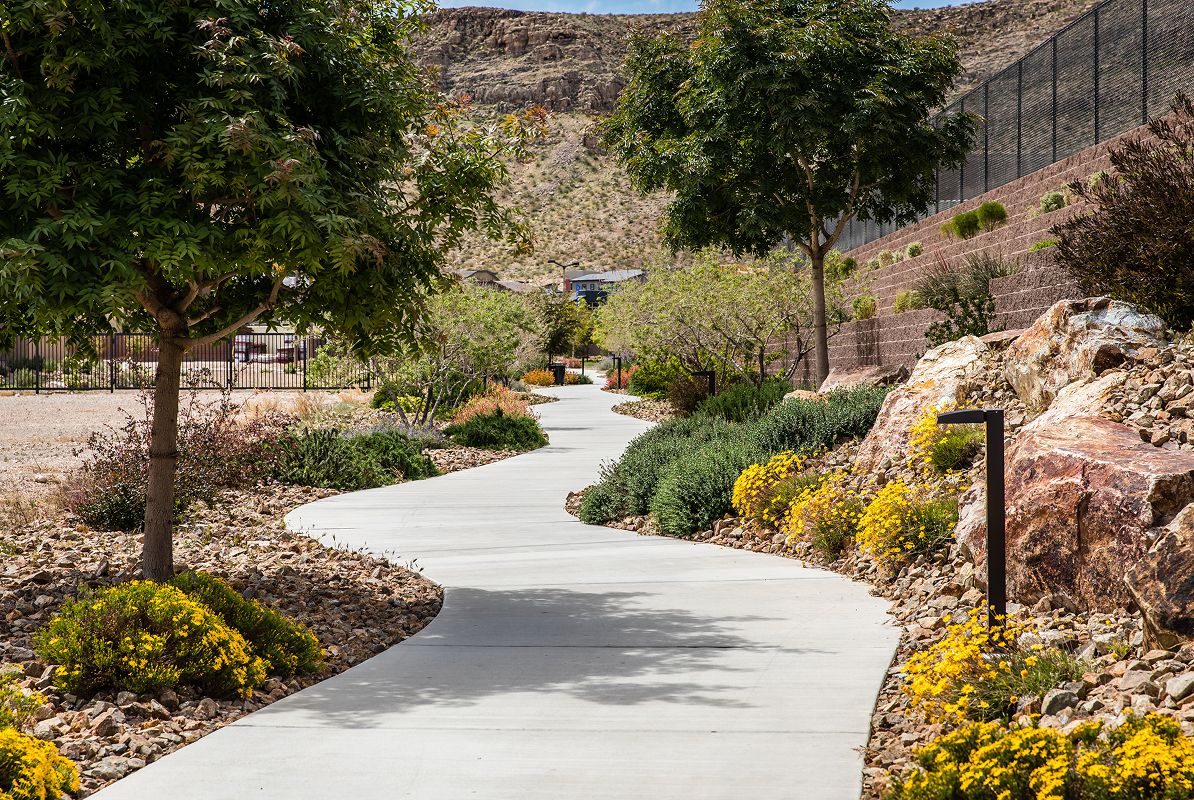 Summerlin Trails