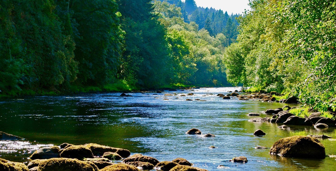 Tualatin River National Refuge