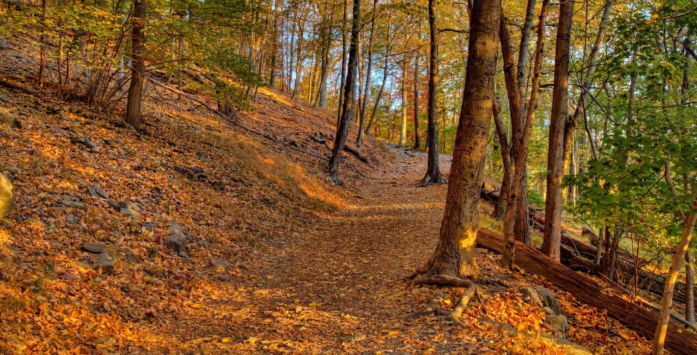 Nature Trails
