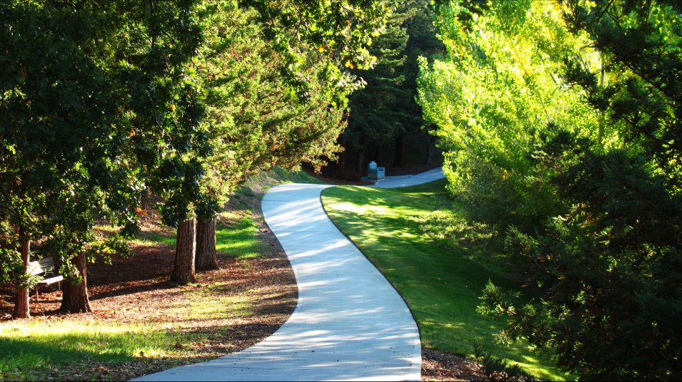 Hiking Trail