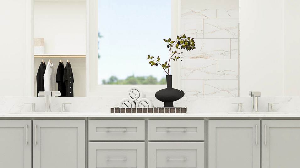 Owners: Dual undermount sinks