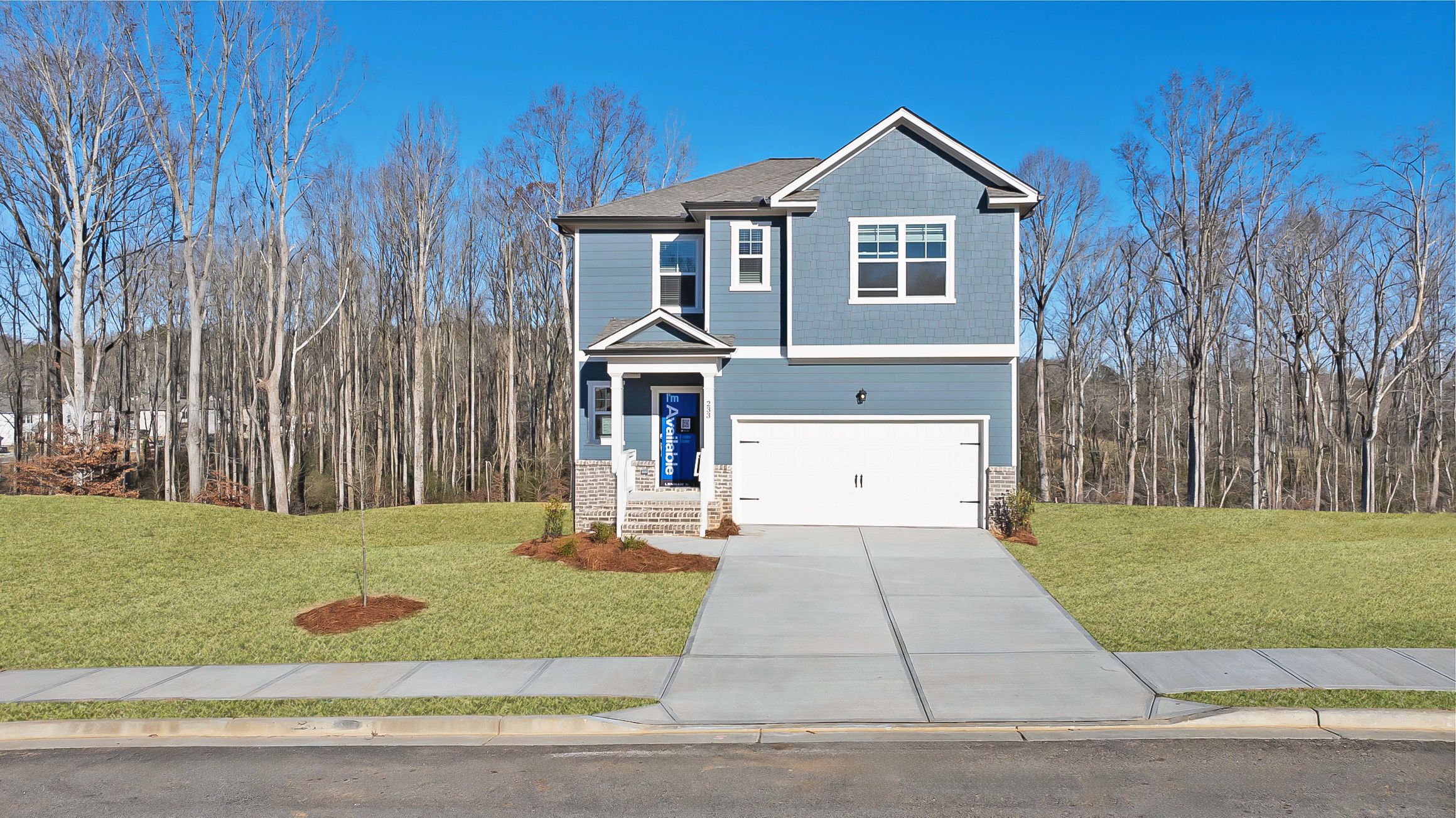 233 Red Dragon Drive