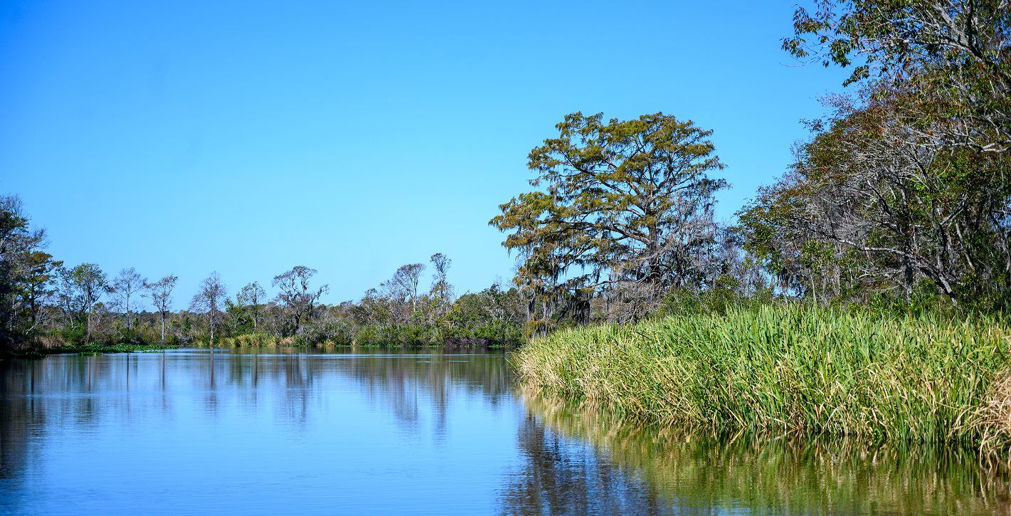 Waccamaw River