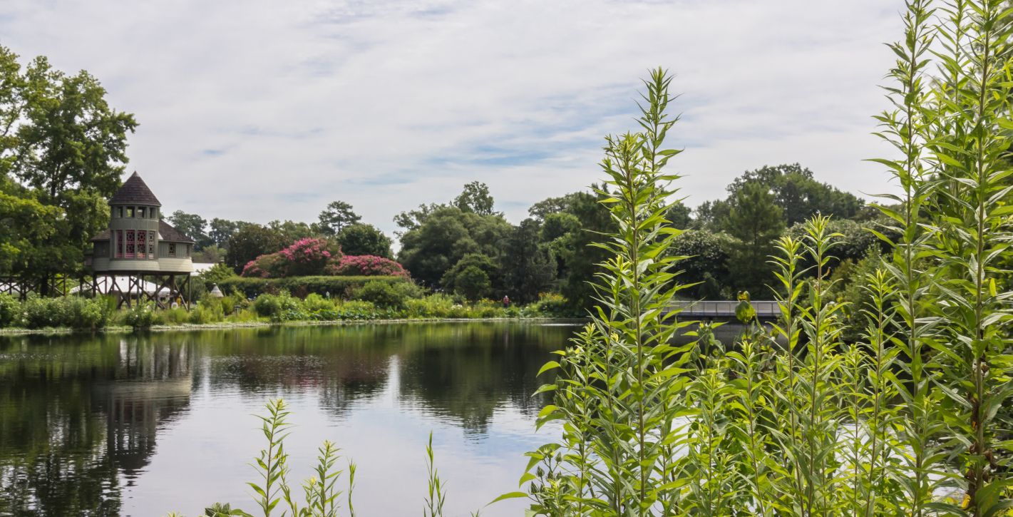 Botanical gardens