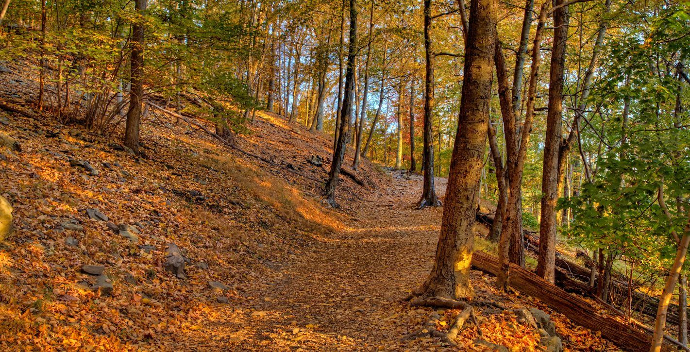 Shenandoah Valley features woodland trails