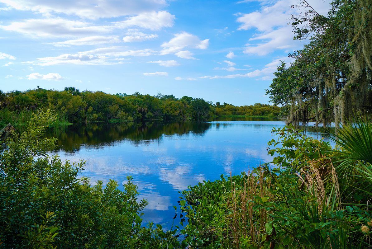 Six Mile Cypress Slough Preserve and Nearby Recreation
