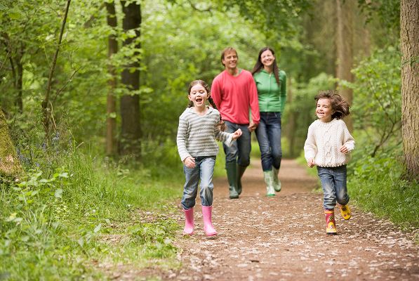 N Pic Activities Hiking Trail Family