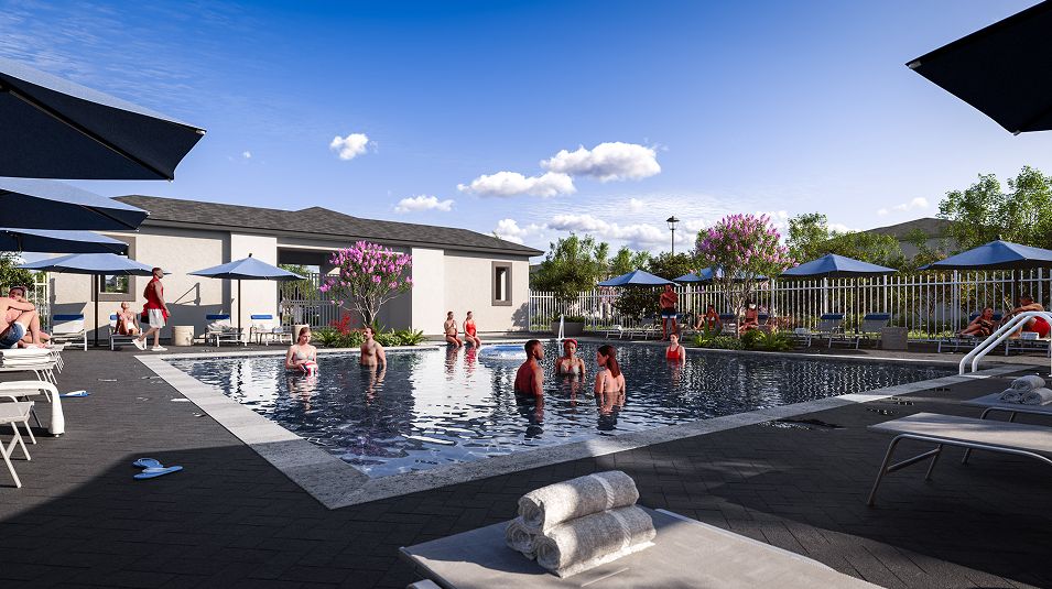 Aria Park Amenity Pool