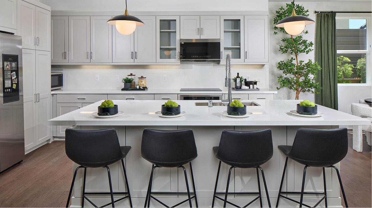 Radius Hill District Res4 Kitchen 1of3 F1