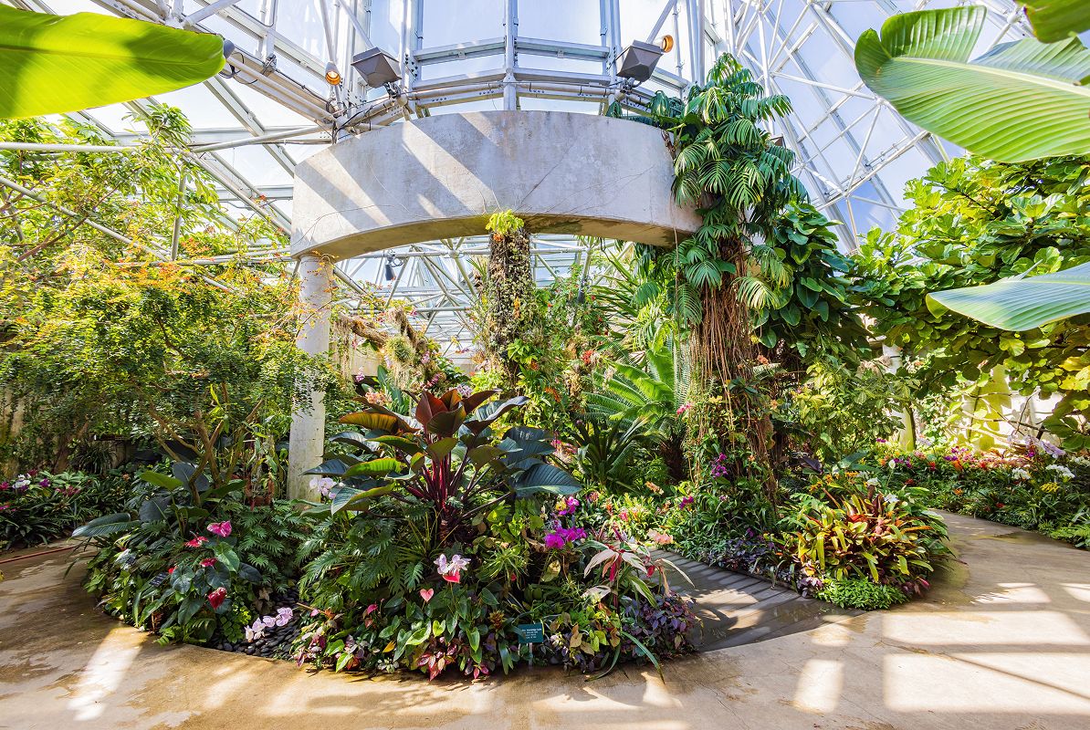 N Pic Places Botanical Garden Greenhouse Orchids