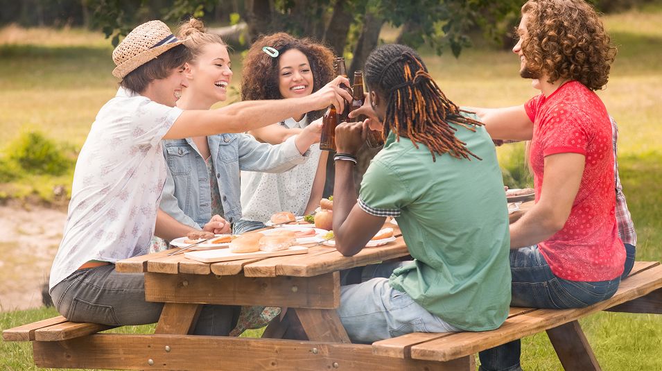 N Pic Gathering Park Friends Toast