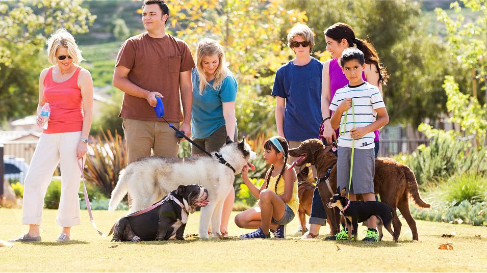 073125 RMV pic amenity dogpark 6of9