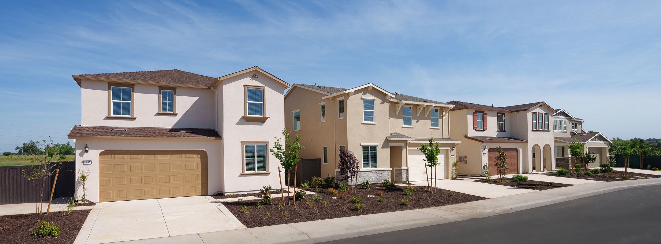 Cyan Preserve Streetscape