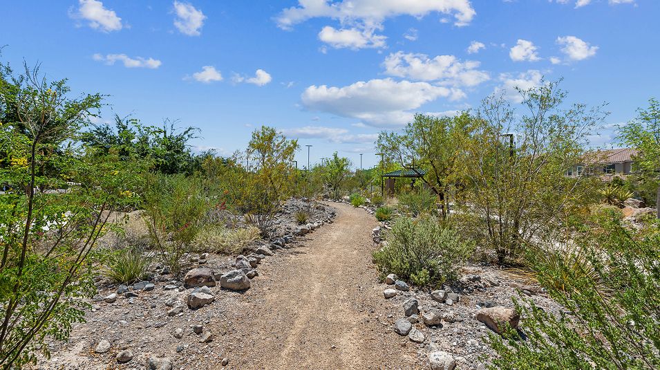 Lucere Inspirada Amenity Trail Potenza Park 10of14