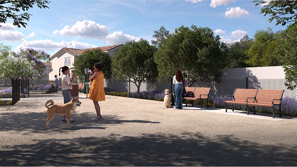 Creekside Crossing Amenity Dog Park