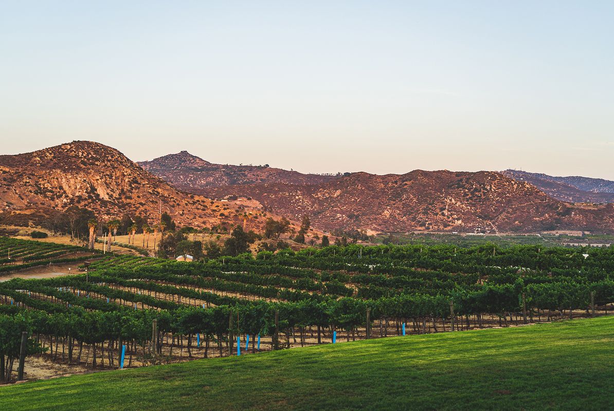 Ramona Vineyard