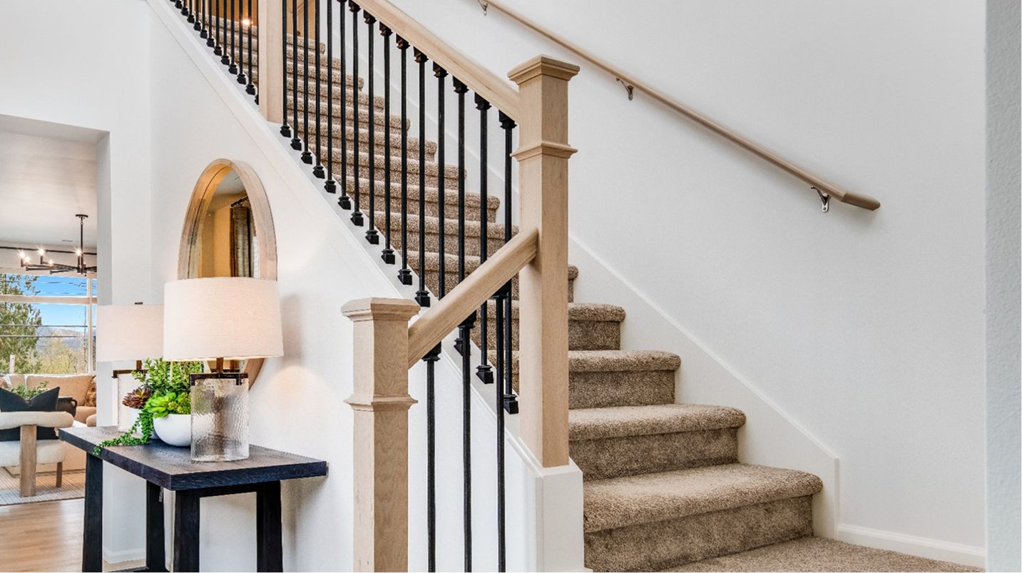 Garibaldi Magnolia IIH S87 04