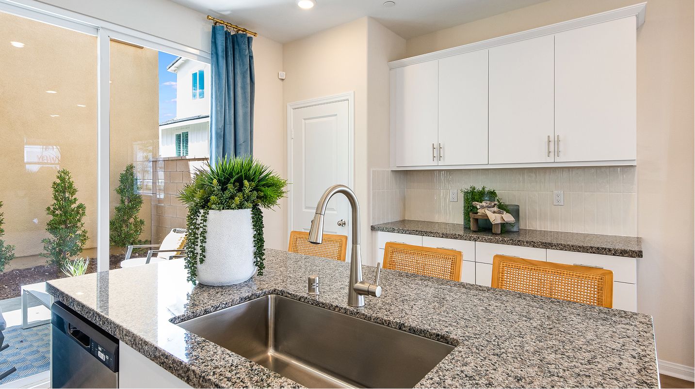 Runway Renaissance Res3 Kitchen 5of5 F1