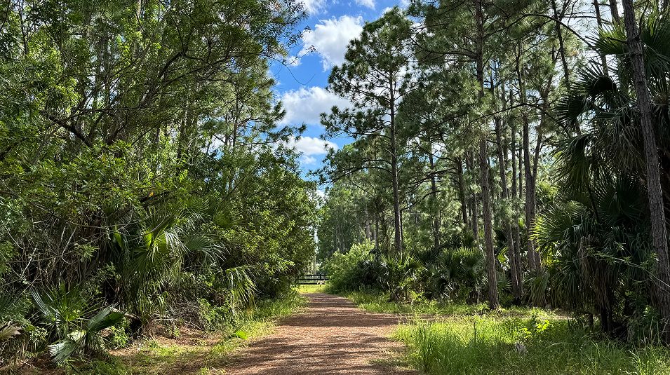 Timbers Everlands Amenity Trail 3of6