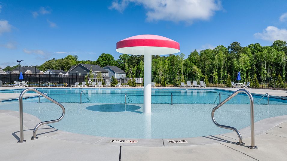 Rosedale Amenity Pool 2of2