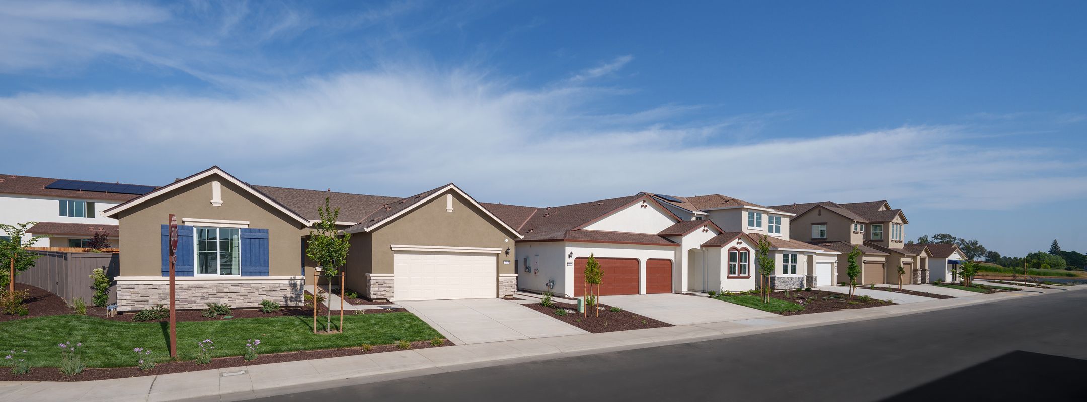 Redwood IV Vineyard Parke Streetscape