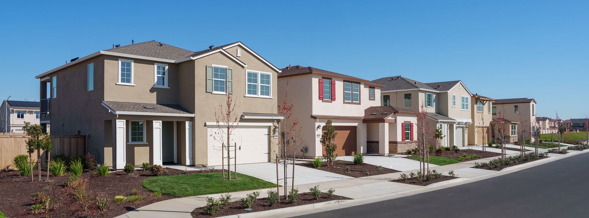 Cortese Vineyard Parke Streetscape