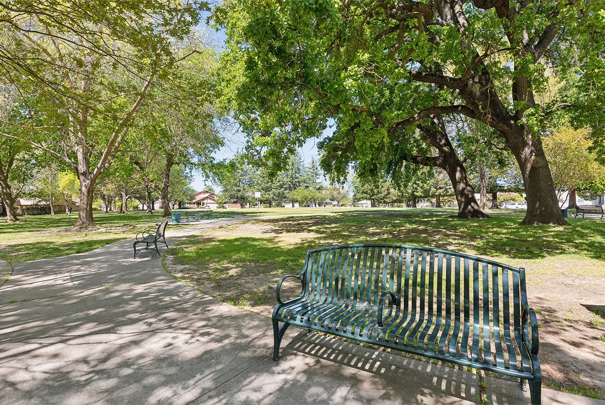 Sacramento Belle Cooledge Park