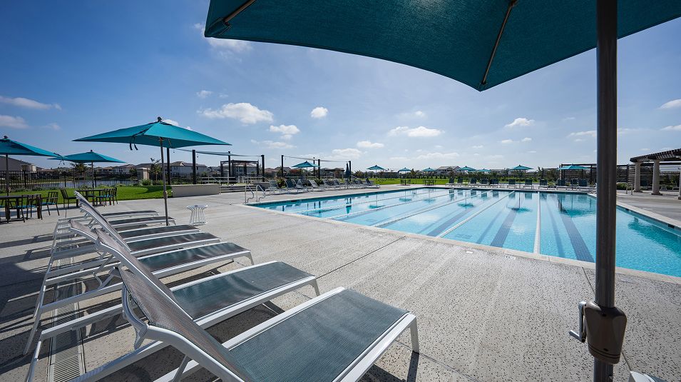 Westlake Amenity Pool 1of2