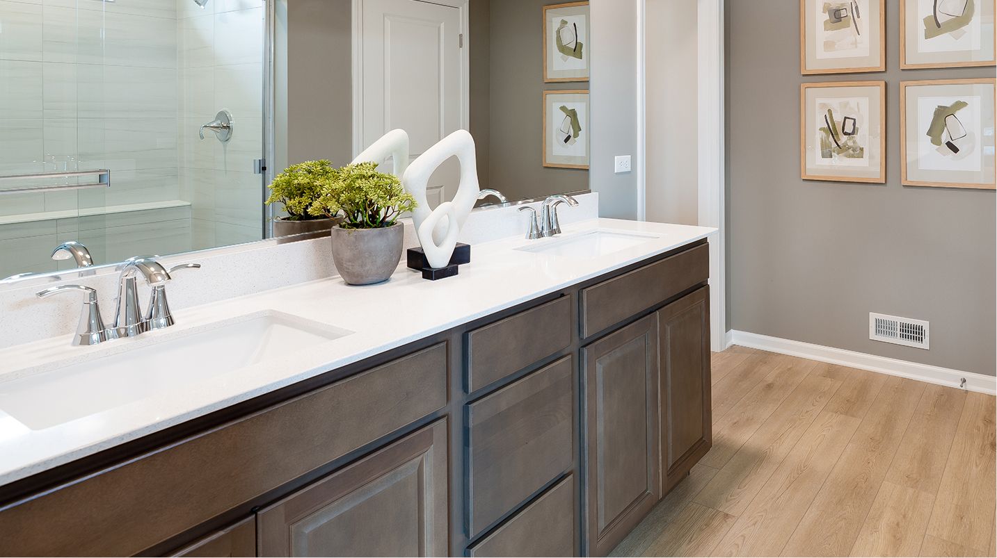 EI Owners Suite Sinks