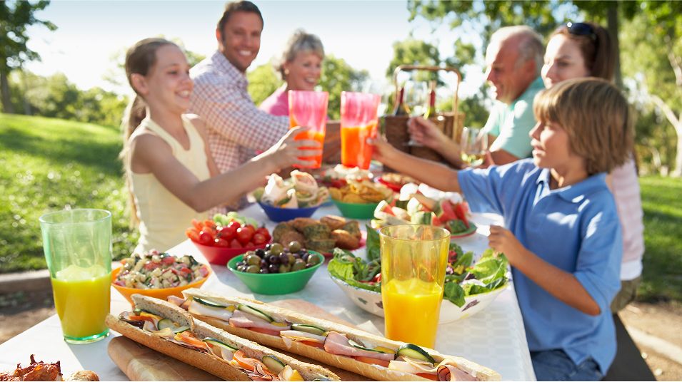 N Pic Gathering Picnic Multigen Family