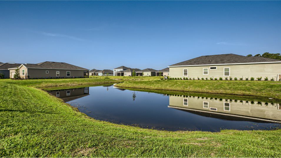 Pond