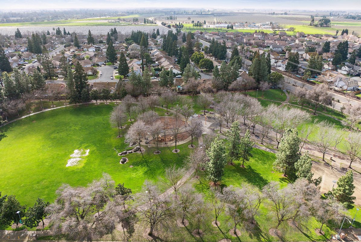 Shanghai Garden Park