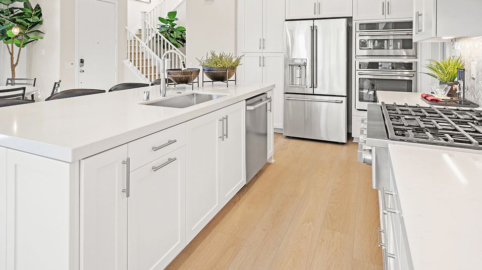 Nova RMV Res2 X Kitchen 5of10 F1