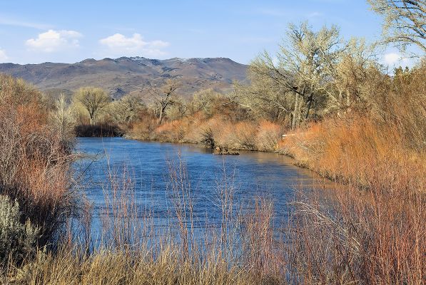 Carson City Fishing