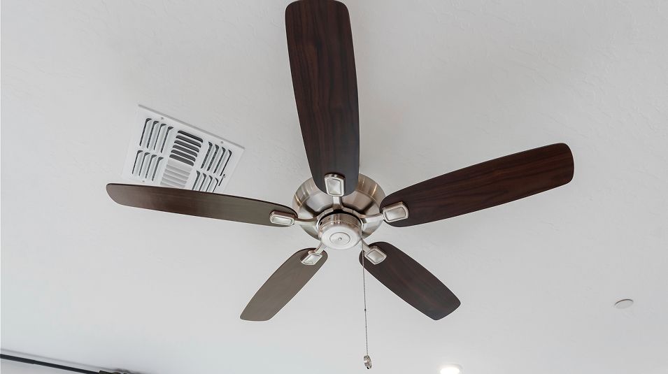 Calligraphy Gossamer Grove EI Ceiling Fan