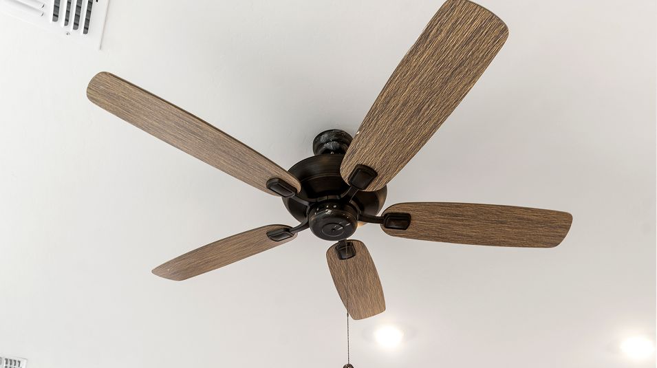 Celestial Gossamer Grove EI Ceiling Fan