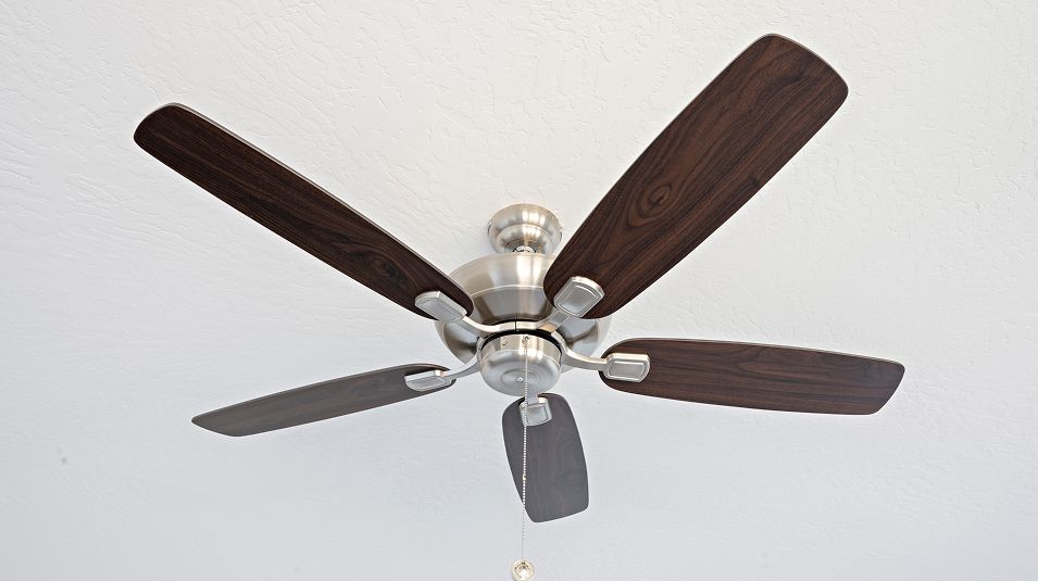Choral Series Sterling Acres EI Ceiling Fan