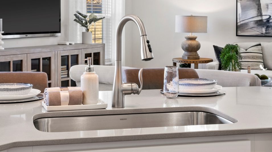 Chateau TH EI Stainless Sink Pull Out Stainless Faucet
