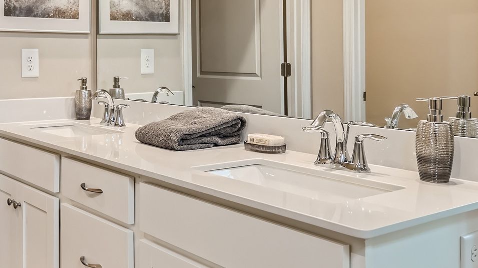 EI Owners Bath Dual Rect Sinks