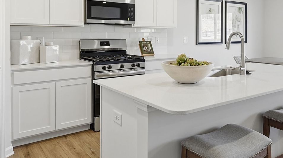 1531 Shelley Kitchen