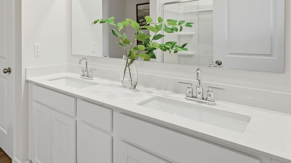 1531 Shelley Owners Bath