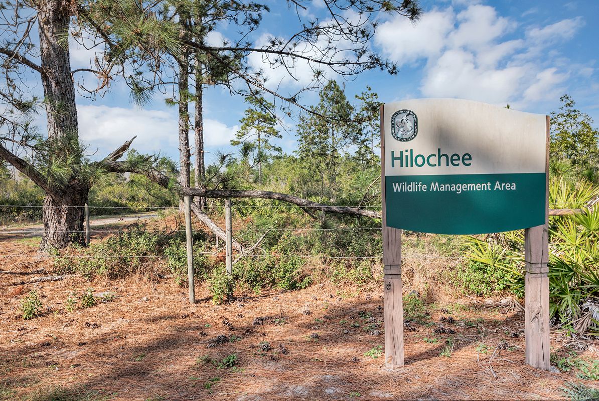 Hilochee Wildlife Management Area