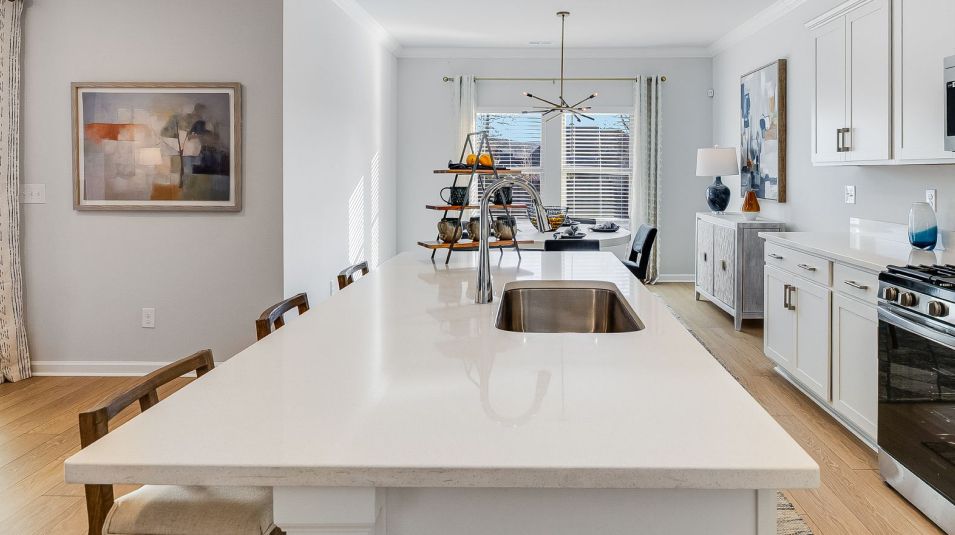 Highlands Trail EI Kitchen Countertop